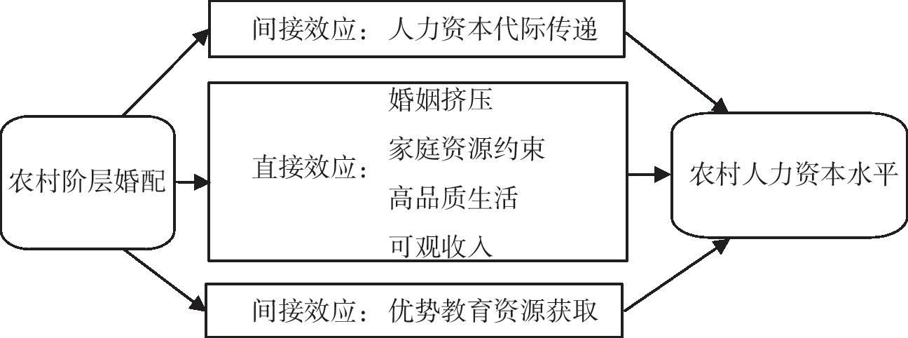 图1农村阶层婚配影响人力资本的理论分析框架.jpg 图1农村阶层婚配影响人力资本的理论分析框架.jpg